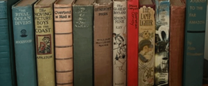 Photo of items for sale at Fly Trap Antiques: collection of antique and vintage books, hard covers.